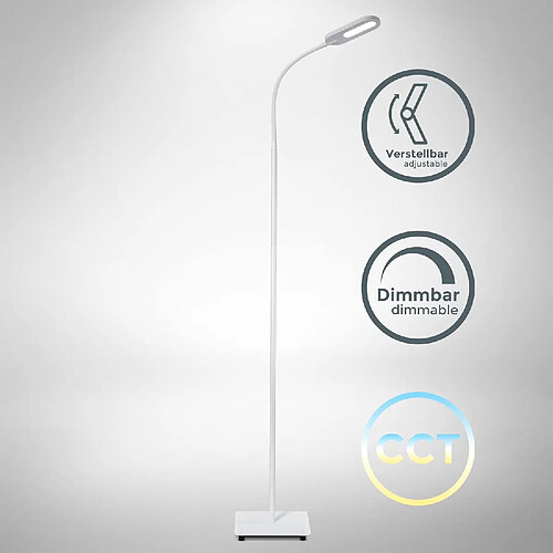 lampe sur pied salon, platine LED 8W, luminosité réglable, tête flexible, choix de lumière: