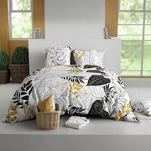 Housse De Rêve Parure de lit 220x240 cm Coton 57 fils Moana