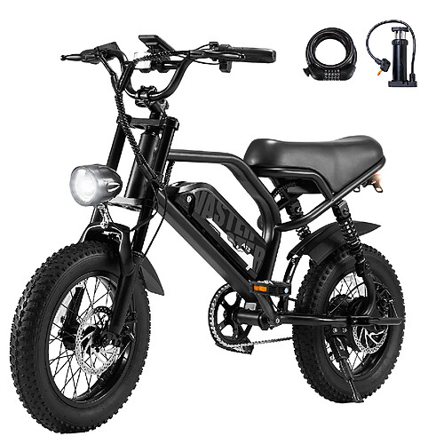 DYU Vélo Électrique Tout Terrain 250W Batterie 36V Autonomie 60-70km Frein à Disque
