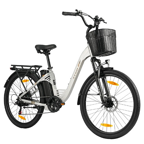Vélo électrique TTGO C2 Pro 250W 52Nm batterie 36V 18Ah autonomie 80 à 120 km 25km/h
