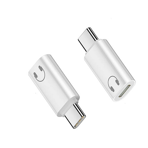 INF Adaptateur Casque Lightning Femelle vers USB-C Mâle : Audio HiFi & Appels