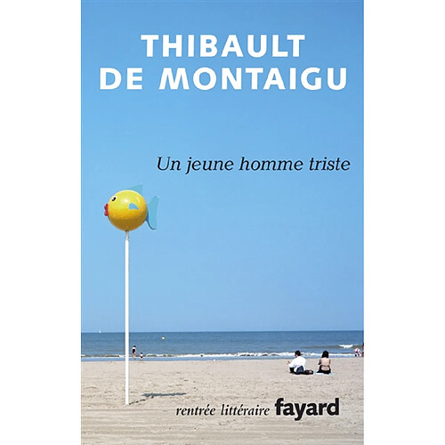 Un jeune homme triste · Occasion