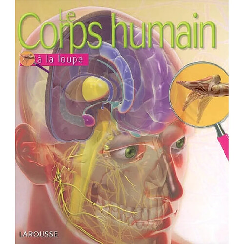 Le corps humain · Occasion