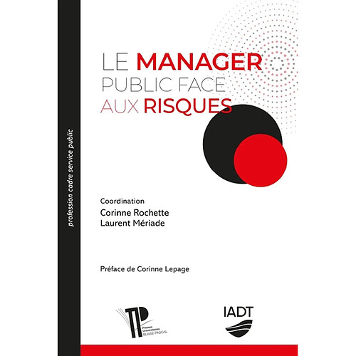 Le manager public face aux risques · Occasion