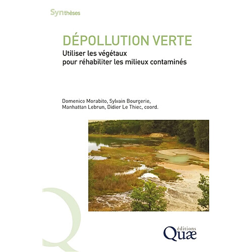 Dépollution verte : utiliser les végétaux pour réhabiliter les milieux contaminés
