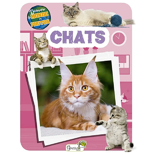 Chats · Occasion
