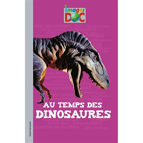 Au temps des dinosaures · Occasion