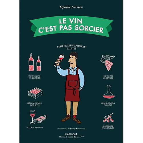 Le vin c'est pas sorcier : petit précis d'oenologie illustré · Occasion