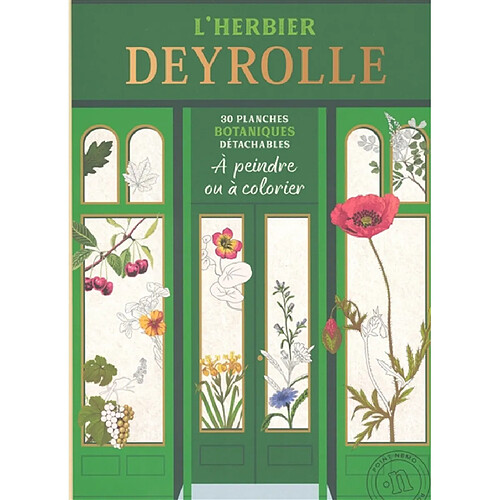 L'herbier Deyrolle : 30 planches botaniques détachables à peindre ou à colorier · Occasion
