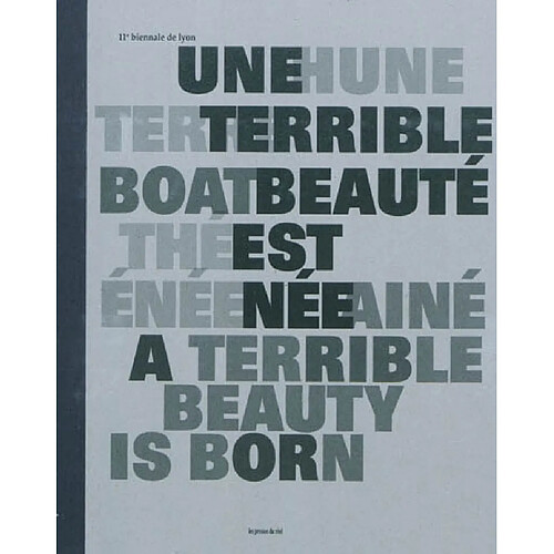 Biennale de Lyon 2011. Une terrible beauté est née. A terrible beauty is born · Occasion