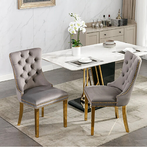 MIVRAY Lot 2 chaises de salle à manger dossier haut, pieds réglables velours gris