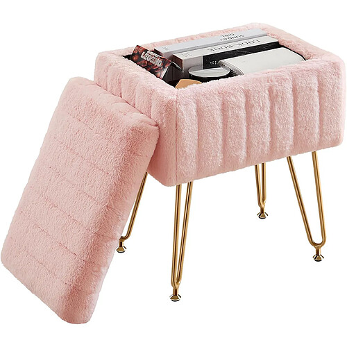 ZMH Tabouret Avec Rangement Tabouret De Salon Moderne Pour Couloir Chambre