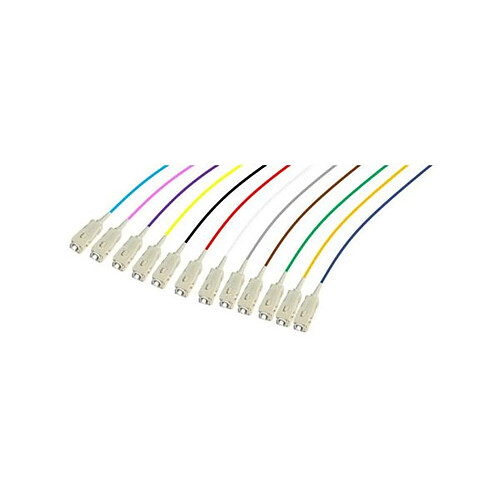 Ekivalan Lot de pigtails fibre optique OM4 - 1 m