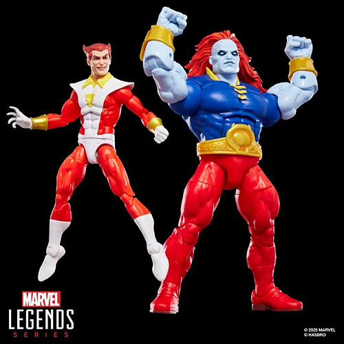 Hasbro Marvel Legends - Pack 2 figurines Marvel' s Starfox & Champion of the Universe 15 cm