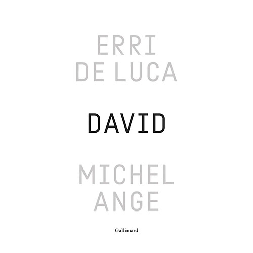 David, Michel-Ange : enquête sur une disproportion