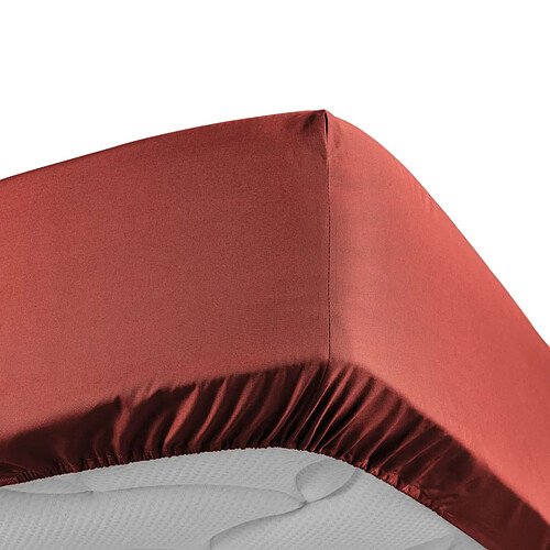Douceur D'Interieur Drap Housse Percaline 90x190cm Terracotta