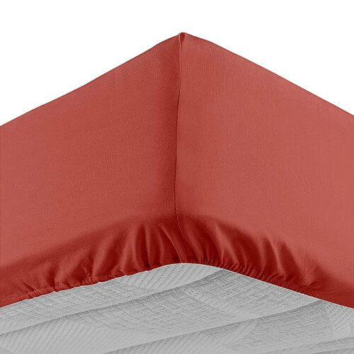 Douceur D'Interieur Drap Housse Lina 90x190cm Terracotta