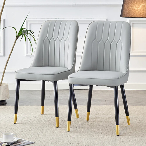 ByteLike Lot de 2 chaises de salle à manger