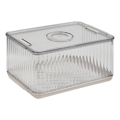 Five Simply Smart Bac Rangement Frigo Dateur Streaks 18x26cm Transparent