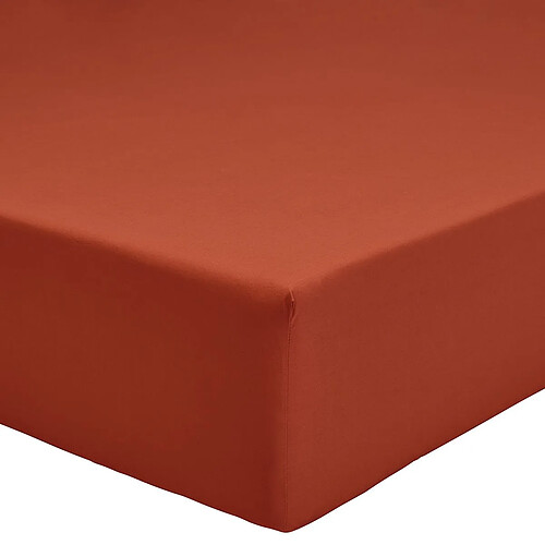 A demain Drap housse en Percale de coton bio - 180 x200 cm - Rouille