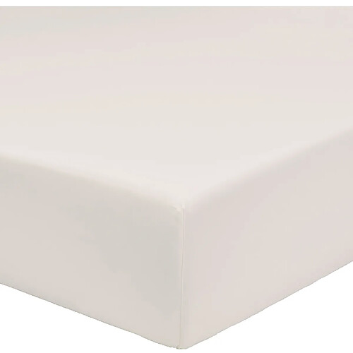 A demain Drap housse en Coton Biologique - 180 x 200 cm - Beige clair