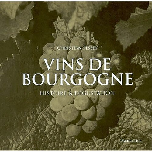 Vins de Bourgogne : histoire et dégustation · Occasion