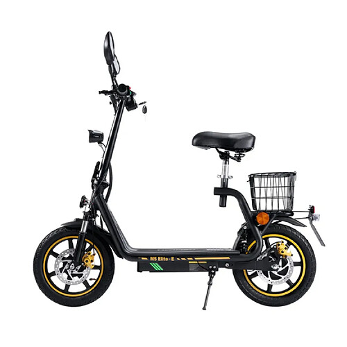 Trottinette électrique Pliable TWOFISH M5 ELITE-E,moteur 500W,48V 13AH,Noir