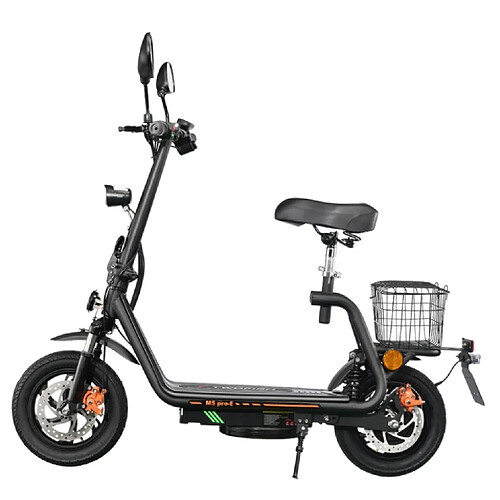 Trottinette électrique Pliable TWOFISH M5 PRO-E,moteur 500W,48V 13AH,Noir