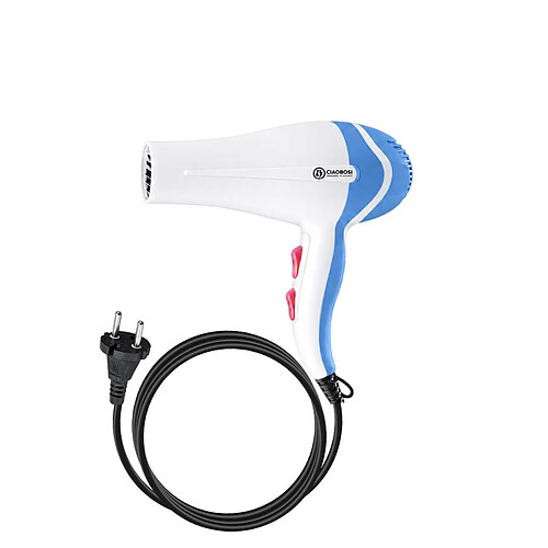 Avizar Sèche-Cheveux Performant 1000W avec Embout Concentrateur et Moteur DC Blanc / Bleu