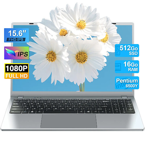 VANWIN PC Portable-15.6"FHD-Intel Pentium Gold 6500Y(Jusqu'à 3.4 GHz)-16Go RAM-512Go SSD