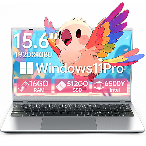 VANWIN PC Portable-15.6"FHD-Intel Pentium Gold 6500Y(Jusqu'à 3.4 GHz)-16Go RAM-512Go SSD