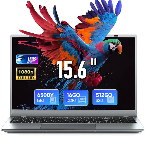 VANWIN PC Portable-15.6"FHD-Intel Pentium Gold 6500Y(Jusqu'à 3.4 GHz)-16Go RAM-512Go SSD