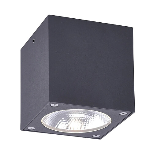 Spot de plafond carré LED 5W IP54 gris anthracite Paul Neuhaus Georg