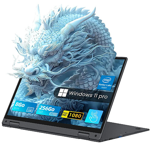VANWIN PC Portable 11.6"Ecran Tactile rotation 360°8Go RAM 256Go SSD-Intel® Pentium® Gold 6500Y