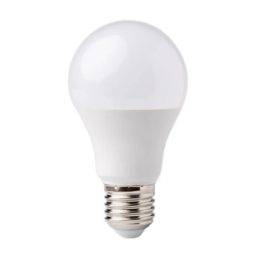 Ampoule LED globe E27 10W 900lm 3000K Ecolight