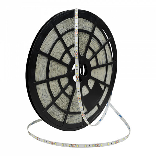 Ruban LED Ecolight 4,8W/m 6500K 12V IP20 50m gradable