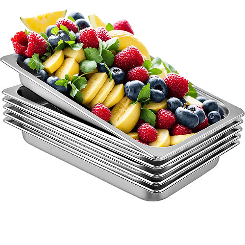 Vevor Bac Inox Alimentaire 6PCS, Plateau de Service de Plats 8,5L pour Four, Cuisson
