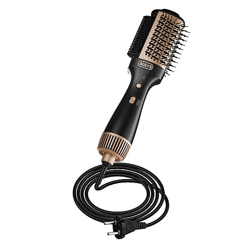 Avizar Brosse Soufflante 3-en-1 Noir / Or