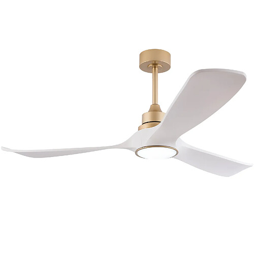 DZMDIP Ventilateur plafond LED 132 cm avec moteur DC réversible, 6 vitesses, 3 couleur et mémoire