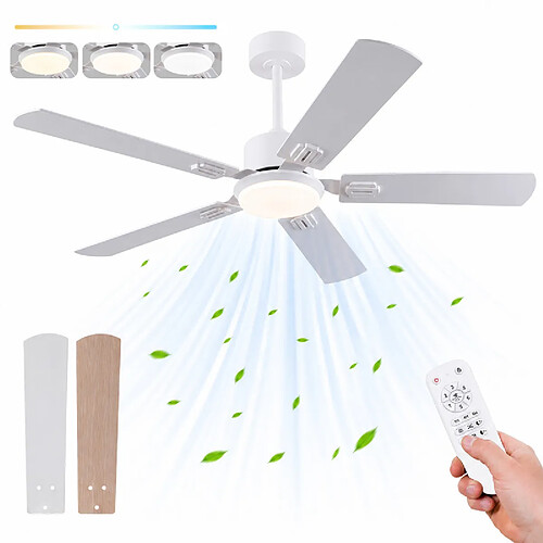 DZMDIP Ventilateur de plafond LED 132 cm télécommande moteur DC silencieux 6 vitesses réversible