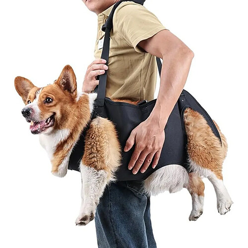INF Harnais de soutien arrière pour chien - Sling de levage en tissu Oxford pour chiens âgés,