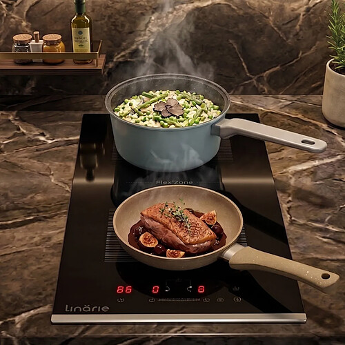 Domino induction encastrable Linarie LIN30I1F 29 cm avec zone flexible