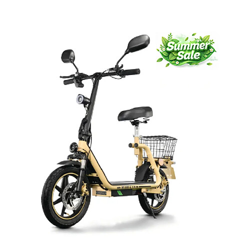 Trottinette TWOFISH M5 Elite-E 500W 48V 13Ah 14" Pneus