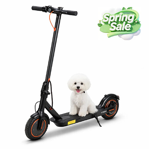 Trottinette TWOFISH V1 MAX 400W 36V 10.4Ah Pliable