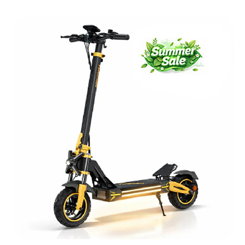 Trottinette TWOFISH V2 MAX 800W 48V 20Ah 50km