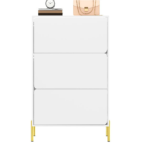 STILVORA Meuble à chaussures 73/24/120 cm blanc en MDF avec portes et pieds dorés