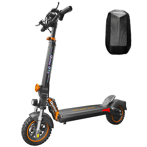 RUITOO Trottinette électrique RT6 pliable moteur 48V 1000W batterie 15,6Ah autonomie 50-55km