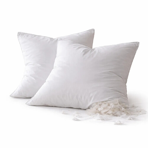 Mortreux Lot de 2 oreillers Plumettes - moelleux - 60 x 60 - 476