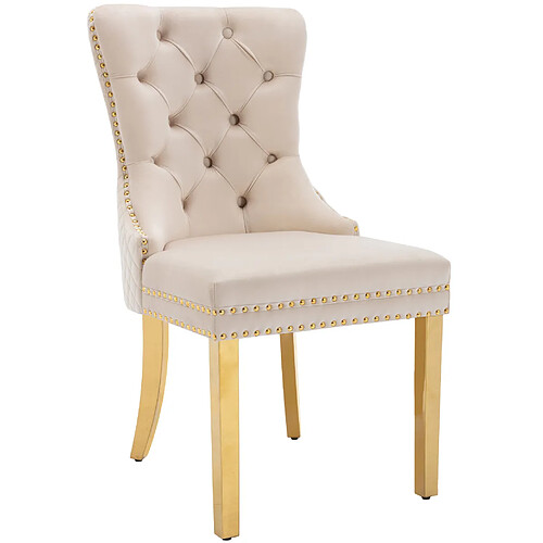STILVORA Chaise de salle à manger 50,5/45/95 cm beige en velours avec pieds dorés