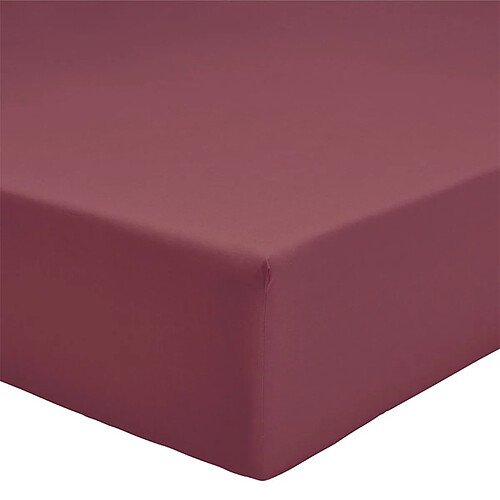 A demain Drap housse en Percale de coton bio - 140 x 200 cm - Violet